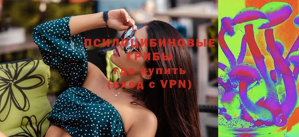 прущие грибы Балахна