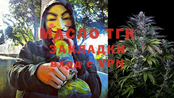 прущие грибы Балахна