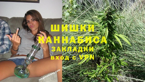 прущие грибы Балахна