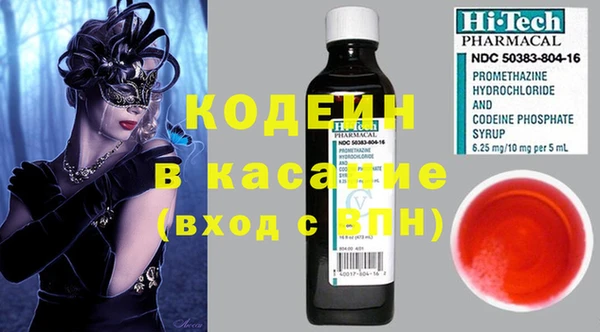прущие грибы Балахна